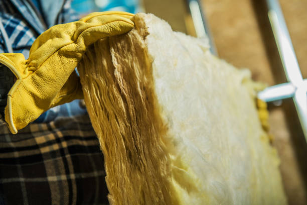 Best Insulation Replacement Services  in Surfside Beach, SC