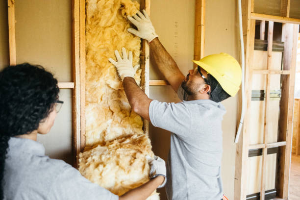 Best Insulation Replacement Services  in Surfside Beach, SC